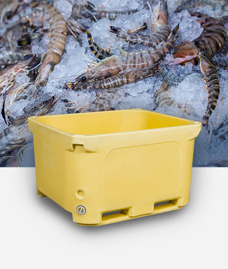 كيف تضمن هذه الحاويات سلامة ورفاهية الأسماك الحية أثناء العبور؟