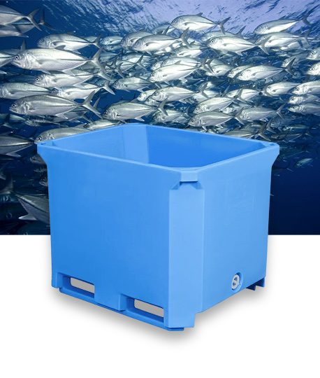 كيف يفيد التصميم المعزول صحة الأسماك في خزانات الأسماك؟
