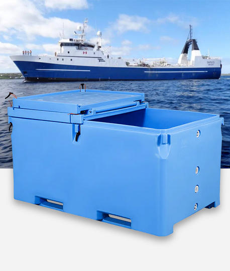 حاويات التخزين المعزولة مهمة في تجميد المأكولات البحرية